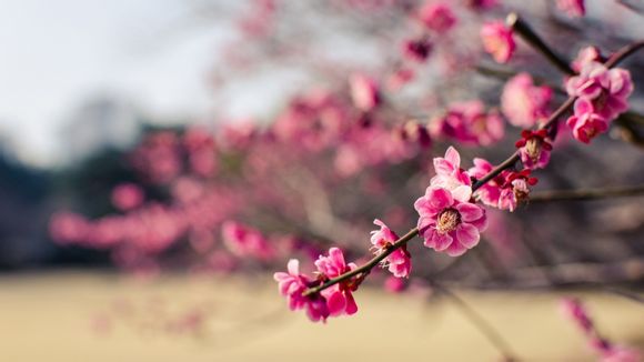 感谢学生的话语 暖心发朋友圈 【感谢学生的说说暖心话】